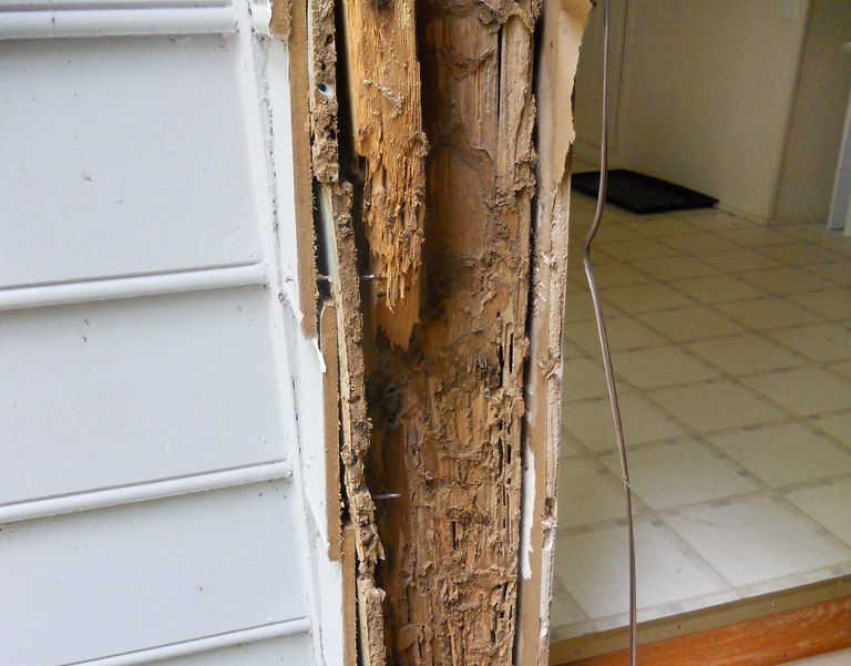 an image of Sacramento termite damage 